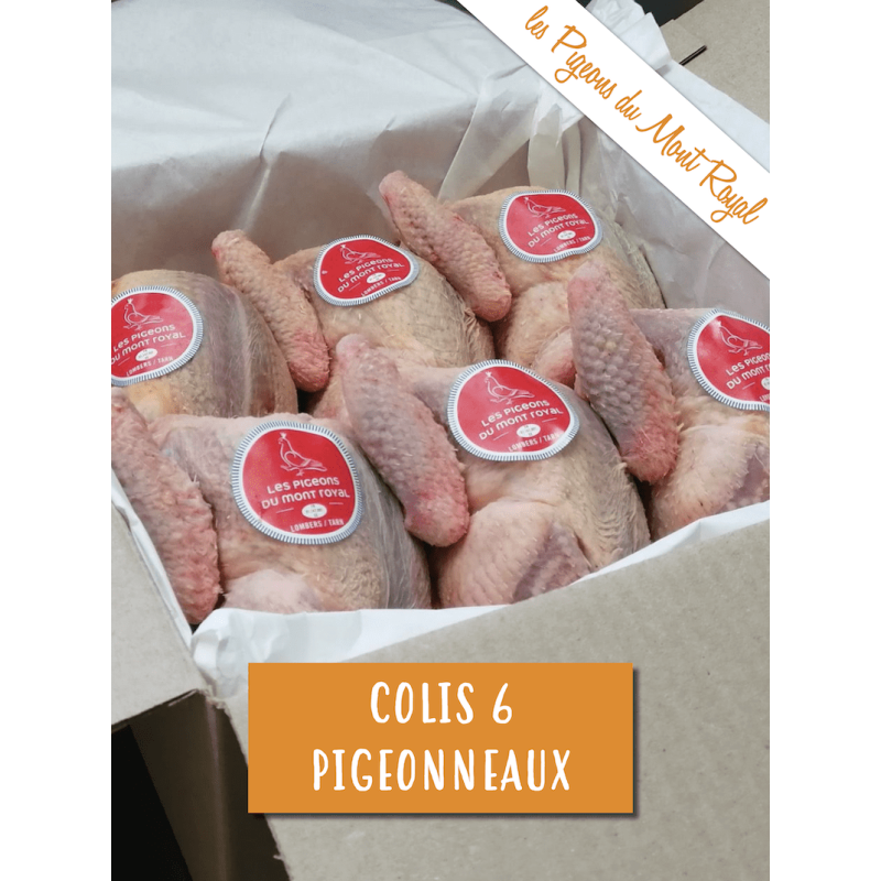 Colis de 6 pigeonneaux