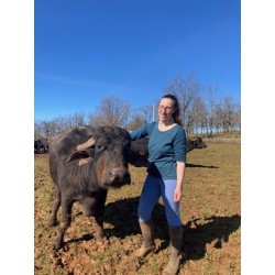 Stracciatella di Bufala du Tarn et Garonne