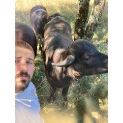 Stracciatella di Bufala du Tarn et Garonne