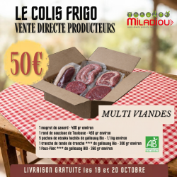 Colis Flash Frigo - N26