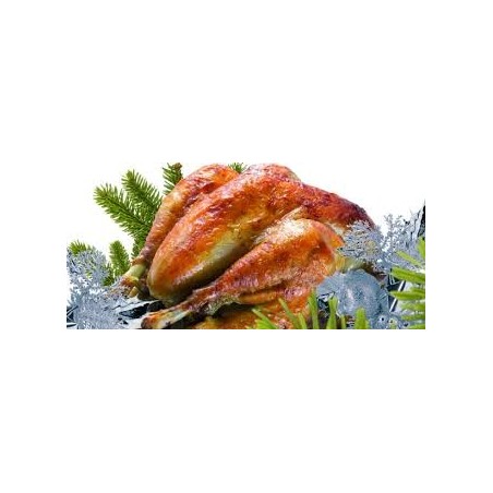 Oie Blanche de Guinée