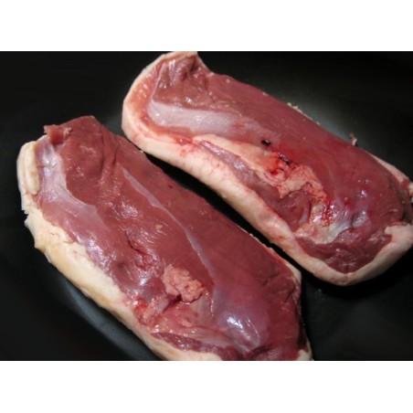 Magret de Canard frais