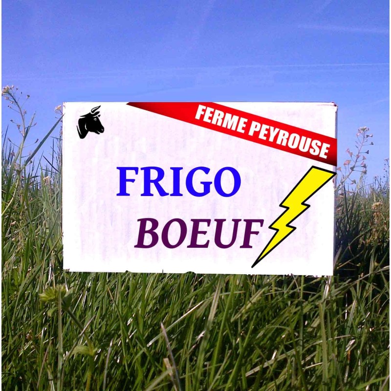 Colis Flash Frigo - N26 Boeuf