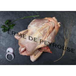 Poulet Fermier BIO