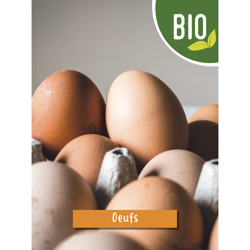 Livraison à domicile Nature Bio Oeufs calibre moyen, Bio, 10 pièces